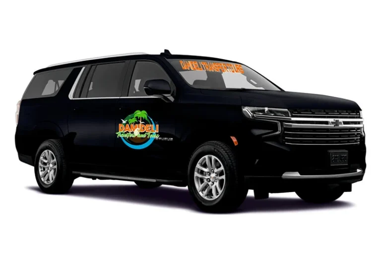 damideli-car1